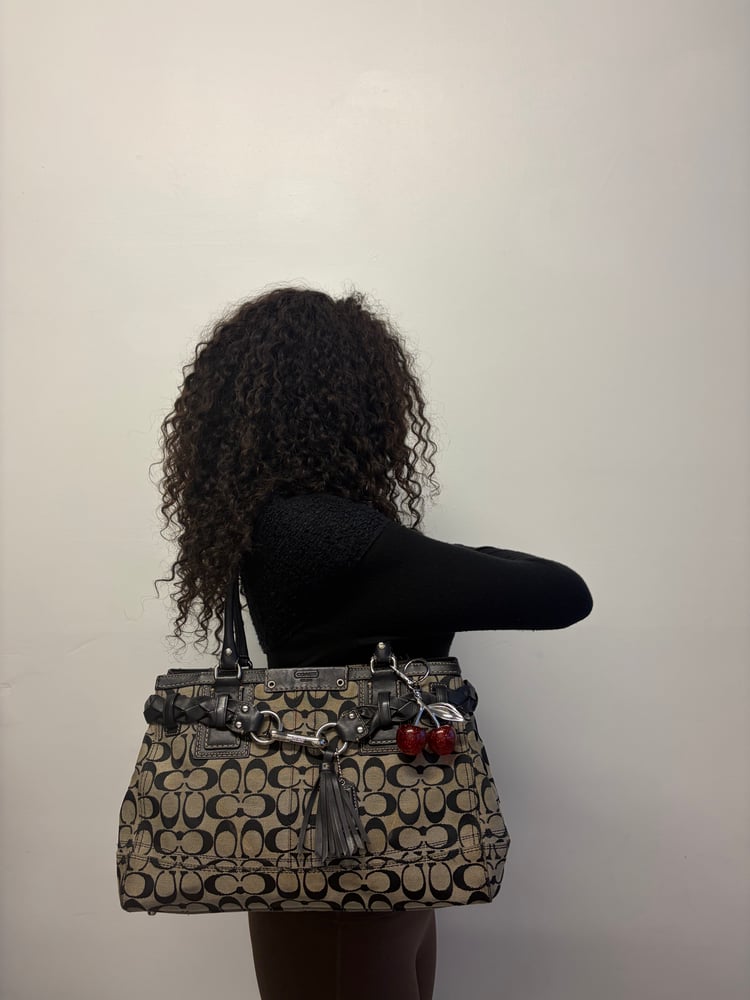 2008 Coach Signature Hampton Carryall bag