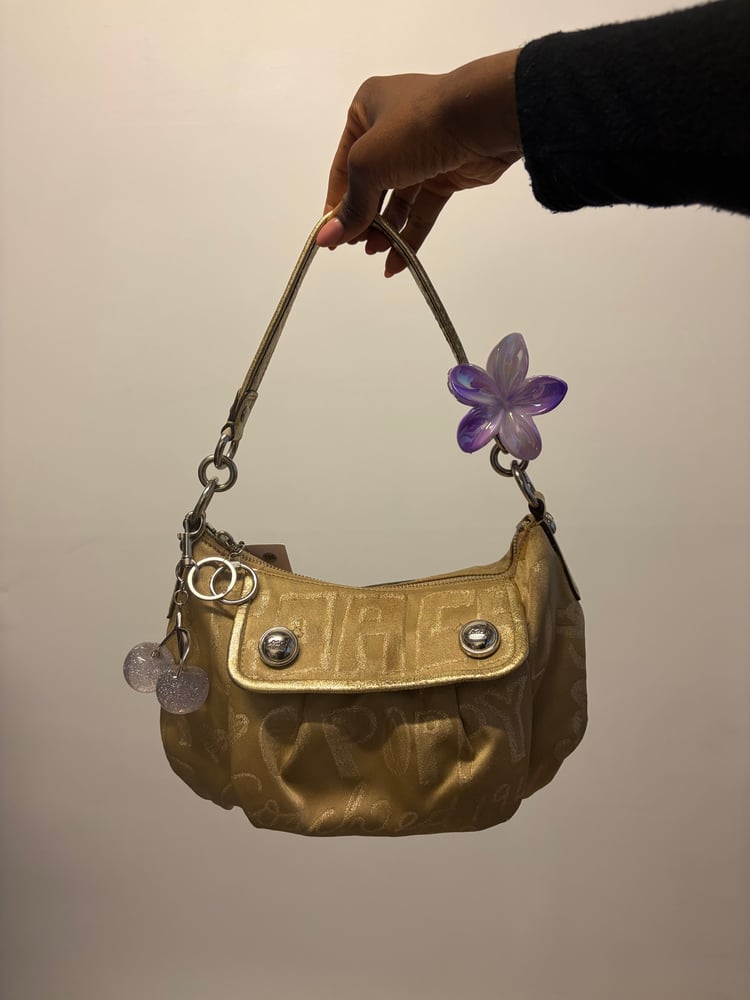 2010 Coach Poppy Storypatch Groove Bag