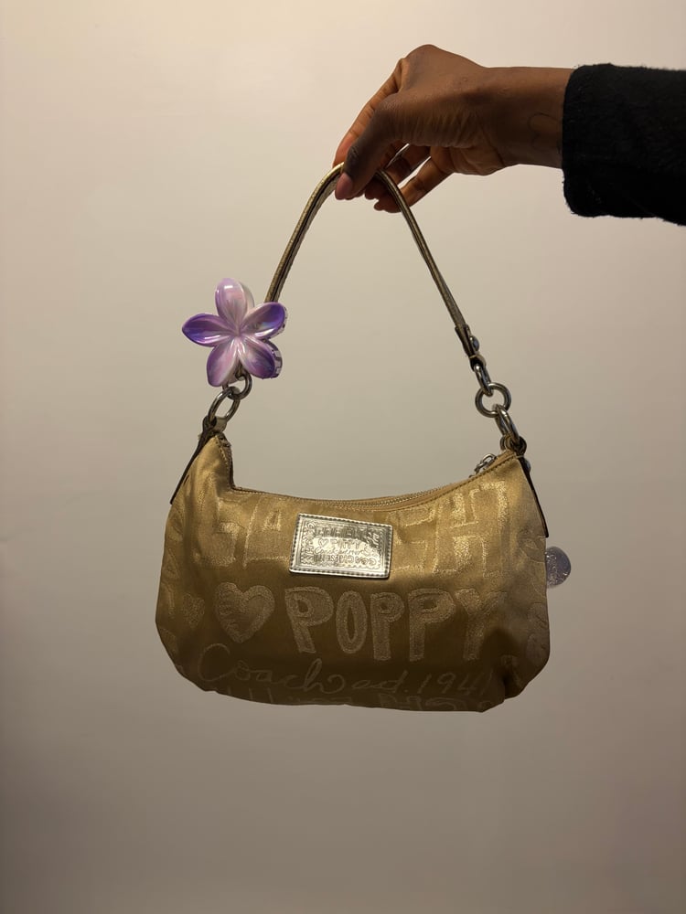 2010 Coach Poppy Storypatch Groove Bag