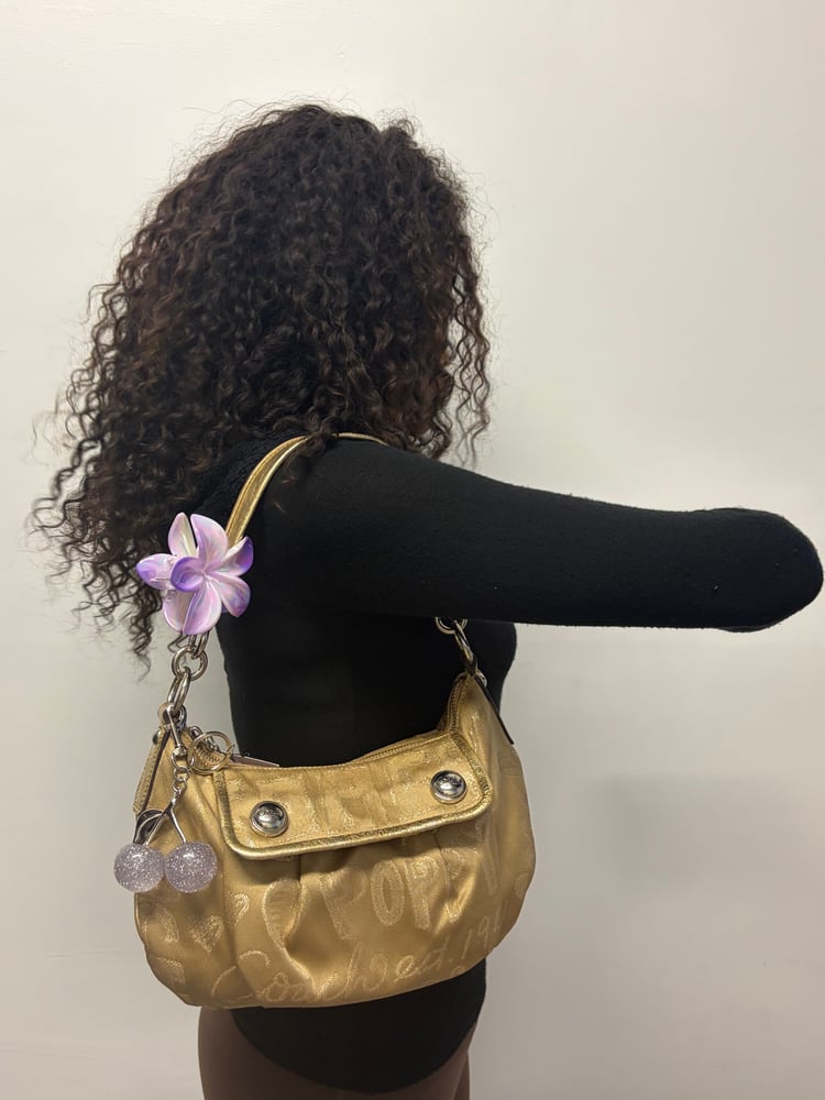 2010 Coach Poppy Storypatch Groove Bag