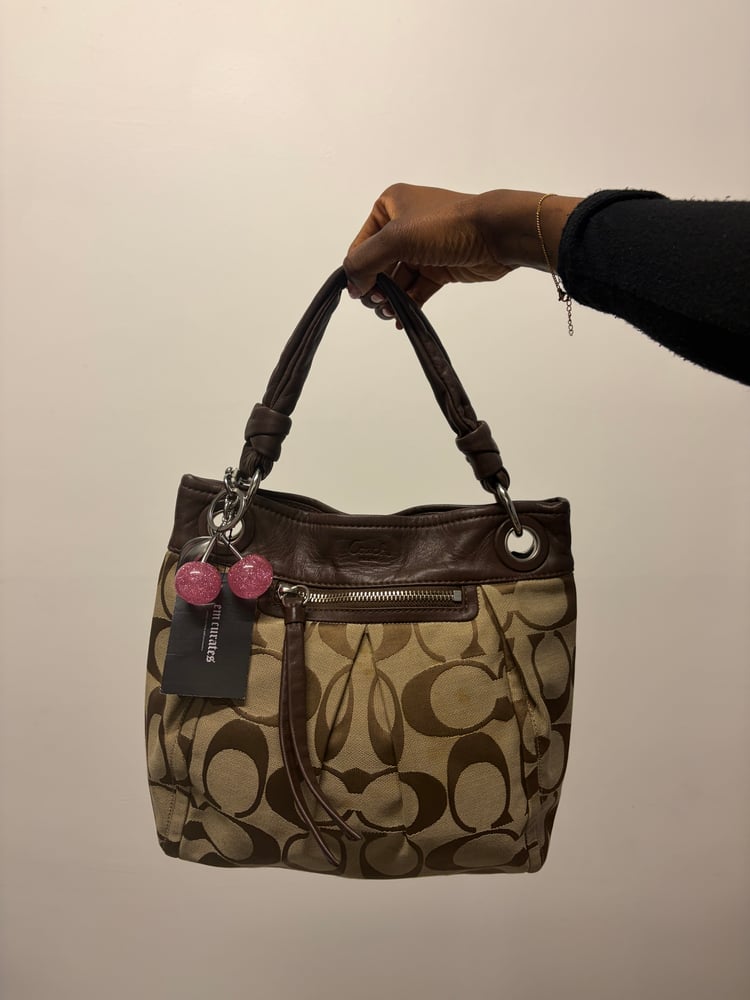 2010 Coach Signature Brown Monogram