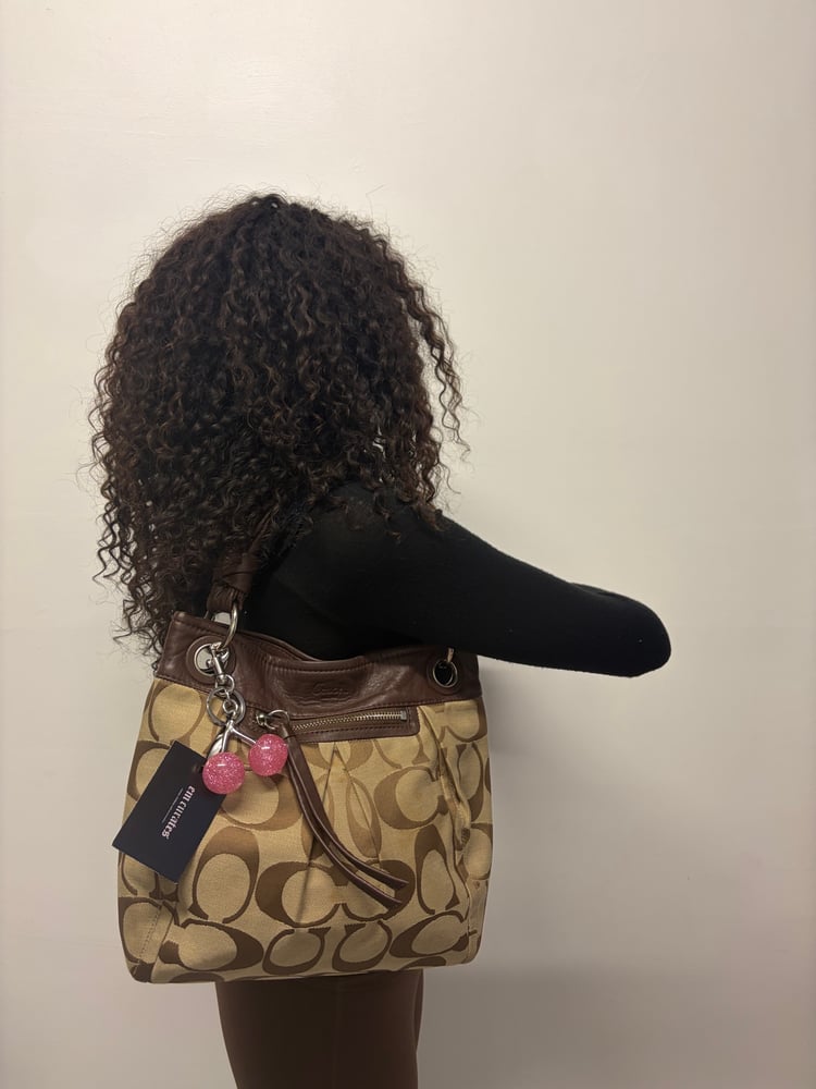 2010 Coach Signature Brown Monogram