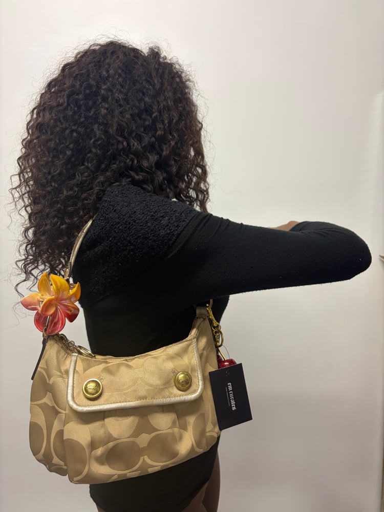 2009 Coach Signature Sateen Poppy Shoulder Bag