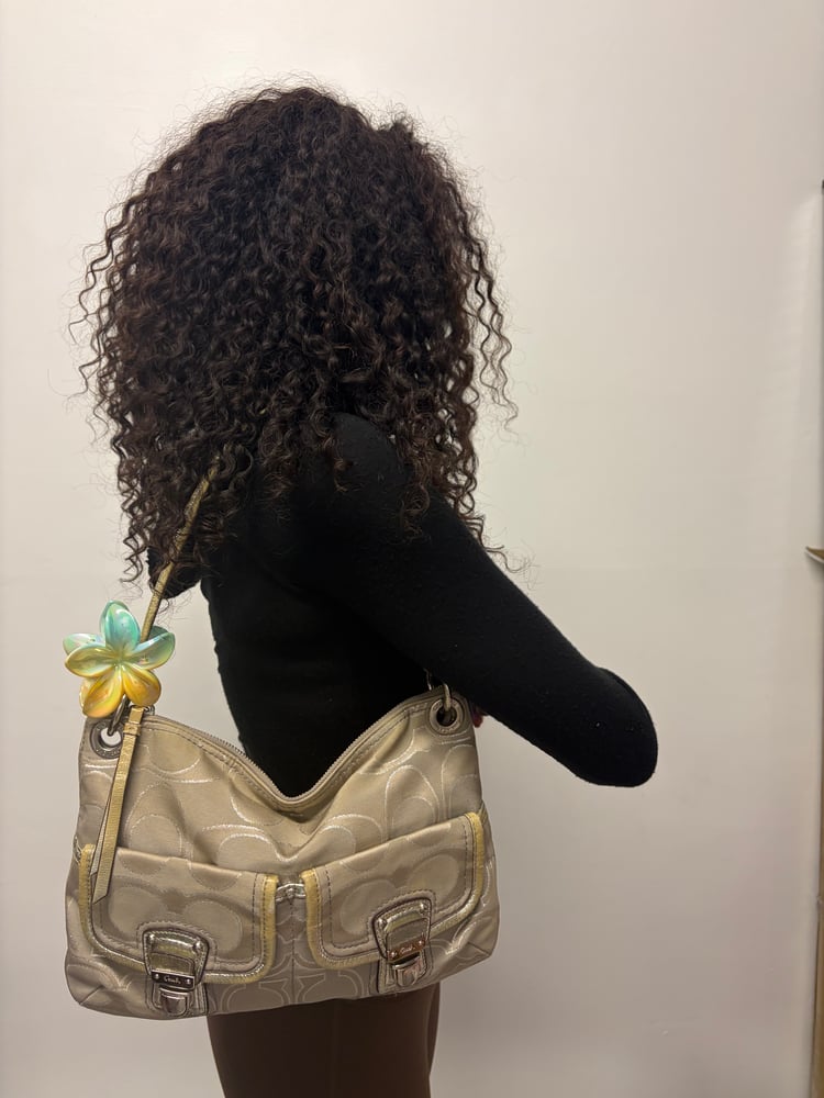 2011 Coach Poppy Limited Edition Metallic Jacquard Hippie Shoulder Bag