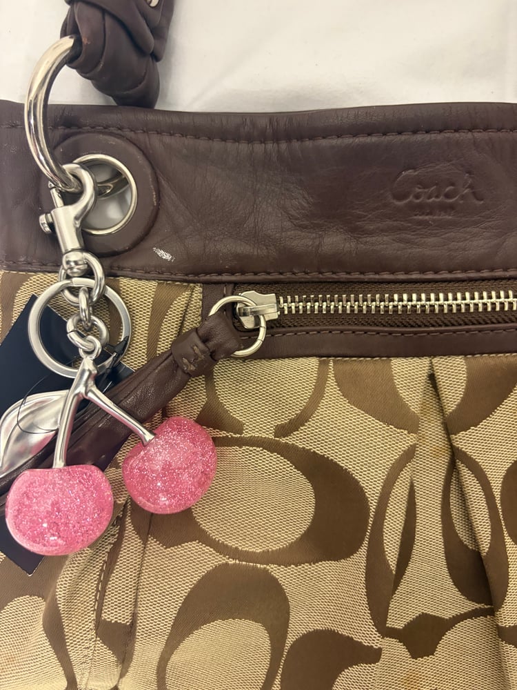 2010 Coach Signature Brown Monogram