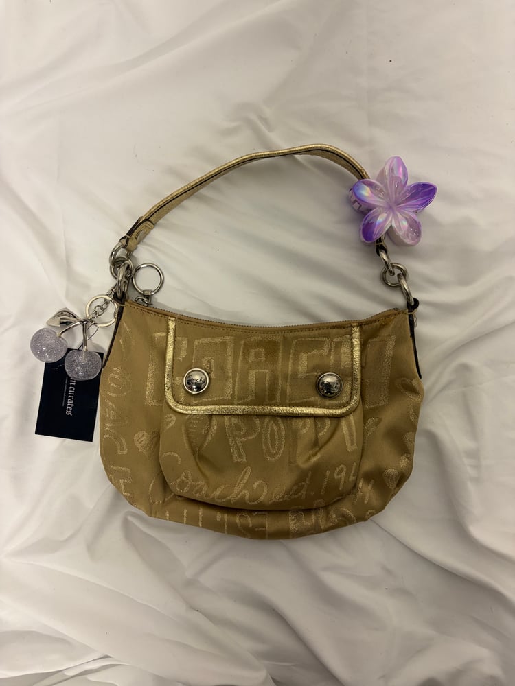 2010 Coach Poppy Storypatch Groove Bag