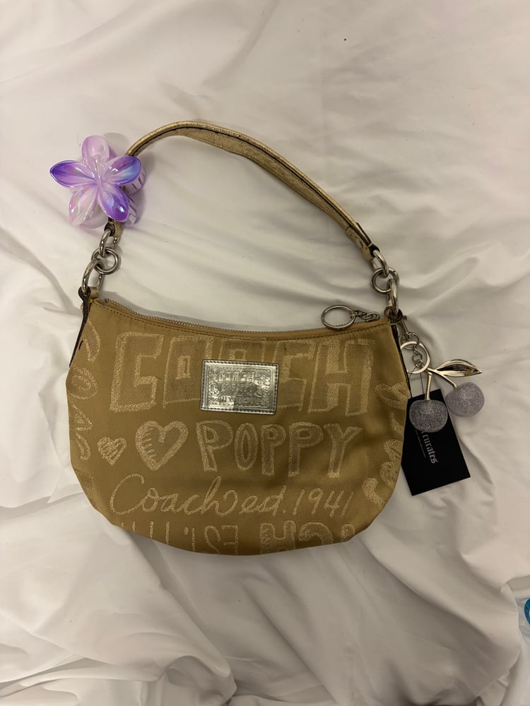 2010 Coach Poppy Storypatch Groove Bag