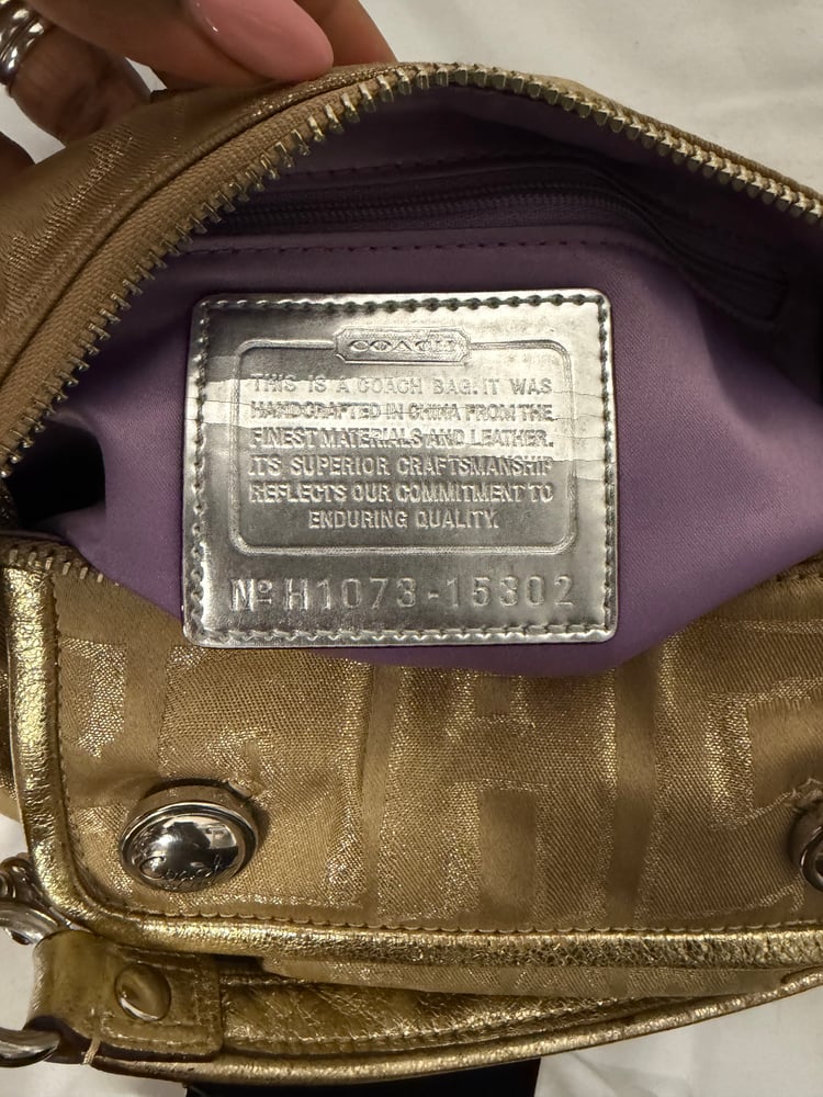 2010 Coach Poppy Storypatch Groove Bag