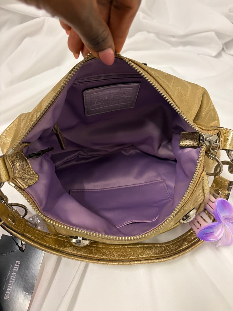 2010 Coach Poppy Storypatch Groove Bag